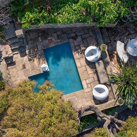 Phoenix Lodge And Waterside Accommodation Knysna Exteriér fotografie